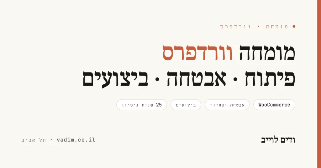 מומחה וורדפרס - פיתוח, אבטחה וביצועים ברמה אחרת