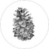 Shai Amit profile picture